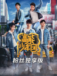 高能少年团粉丝独享版